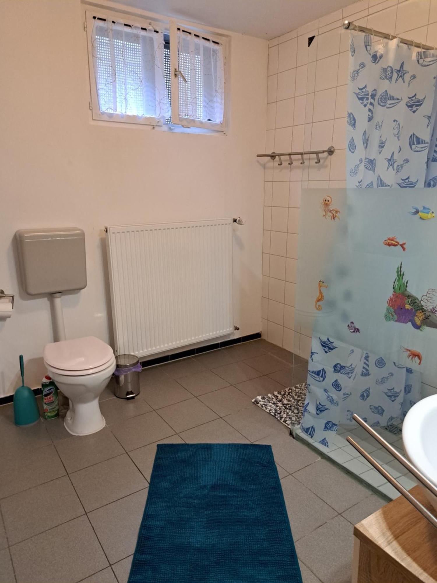 Wohnung Mit 2 - 3 Zimmern Ballenberg Extérieur photo